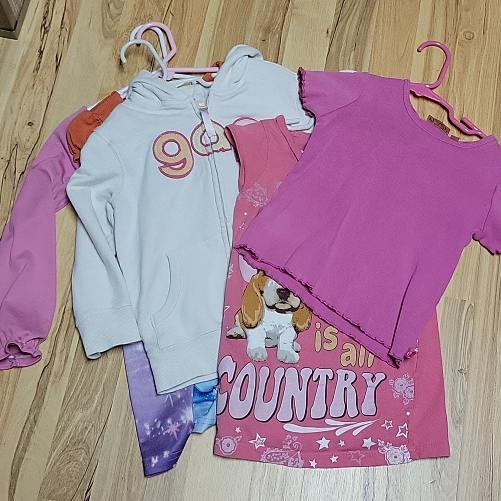 Mixed lot 5 pieces girls tops size 4T gap zip sweatshirt, dogs, princesses pjs